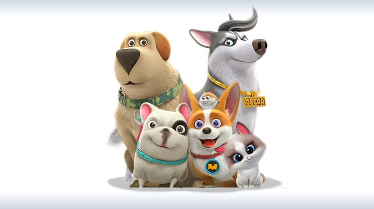 宠物店的小秘密 2021